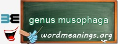 WordMeaning blackboard for genus musophaga